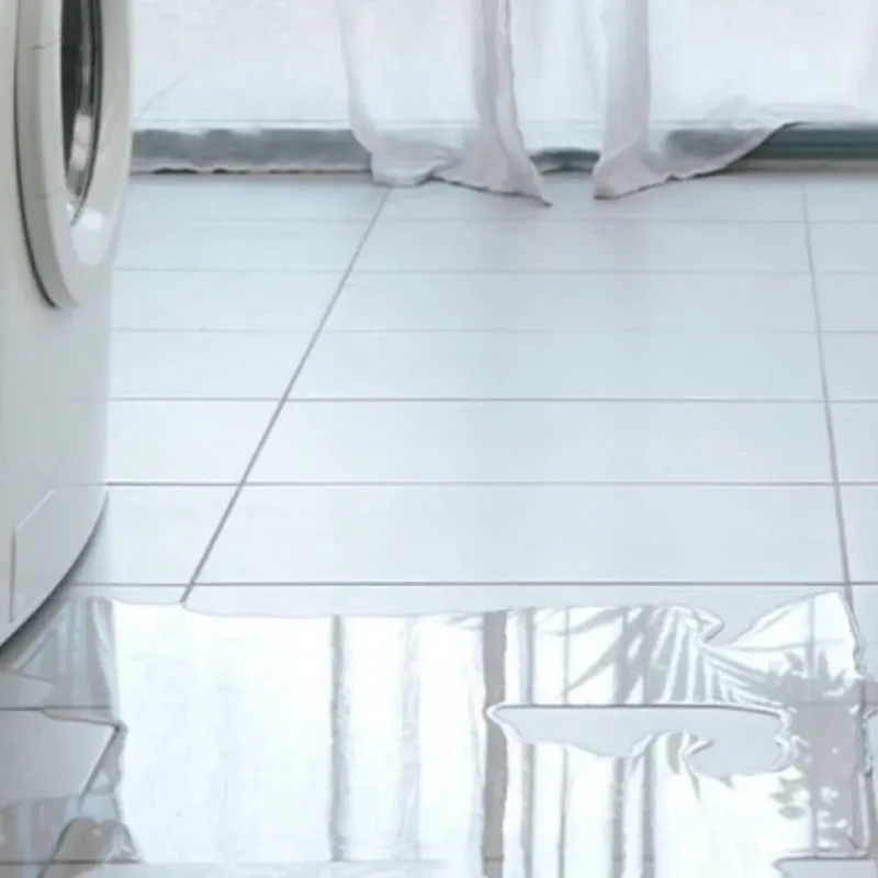 Appliance Leak Cleanup in Sorrento, LA