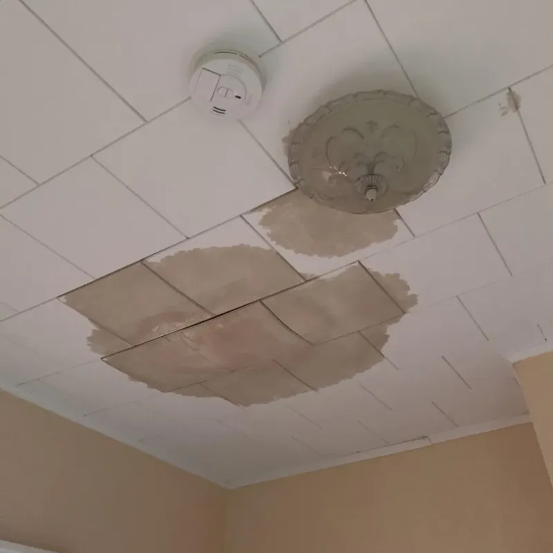Ceiling Water Damage Repair in Sorrento, LA